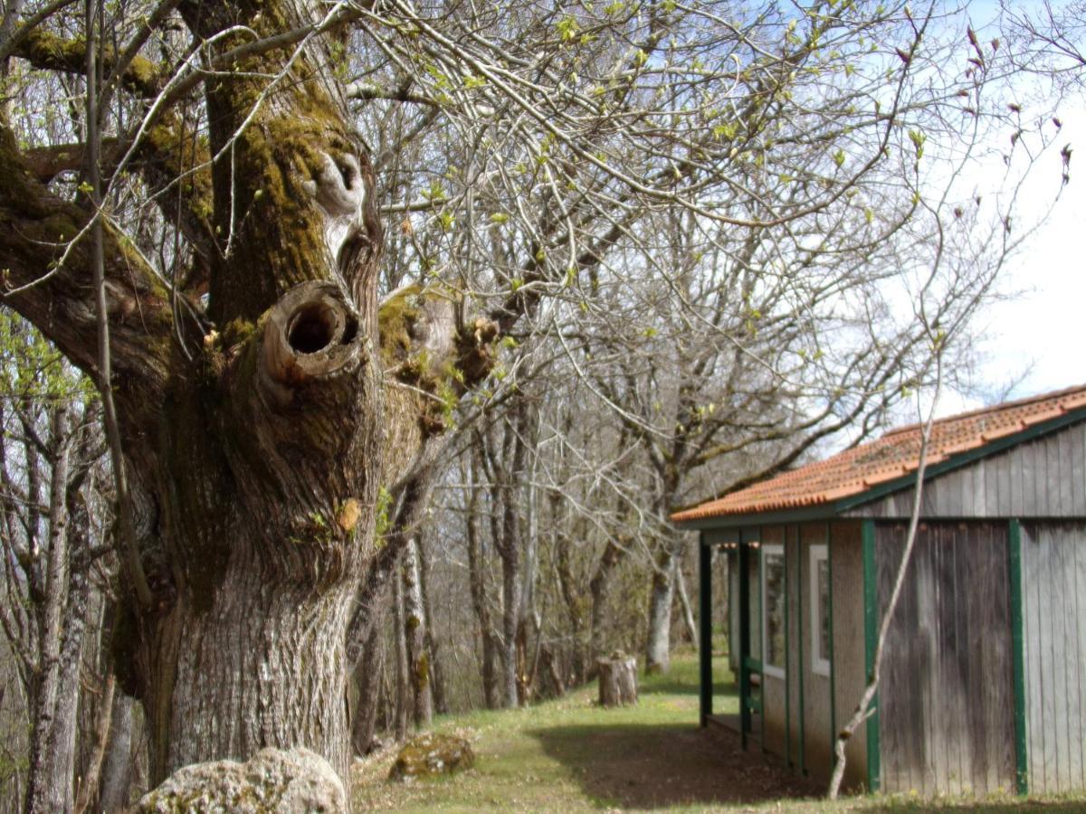 Hotel Le Balcon Des Raspes Saint-Victor-et-Melvieu Zewnętrze zdjęcie