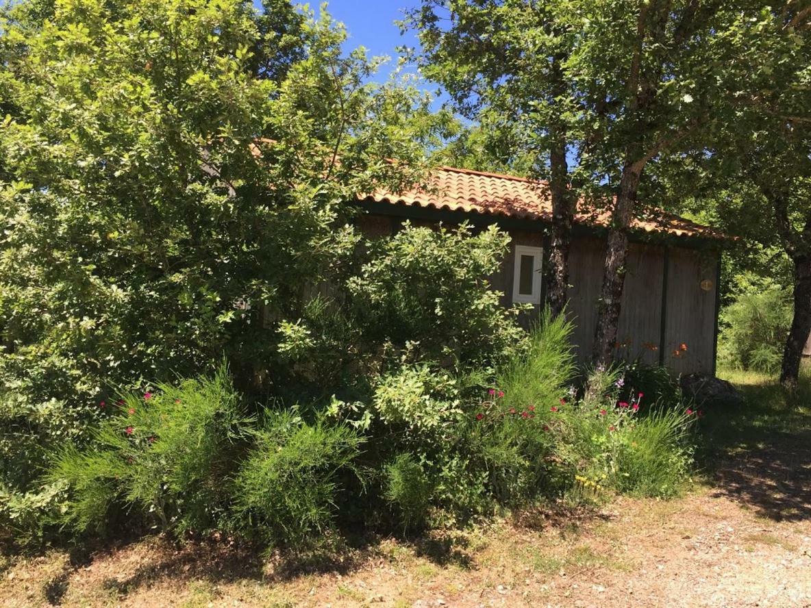 Hotel Le Balcon Des Raspes Saint-Victor-et-Melvieu Zewnętrze zdjęcie